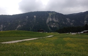 Plateau des Glières