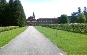 55429d0a58839_EtangDombes0420159.jpg