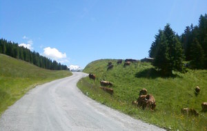 Manque le son des cloches ! c'est quoi la montagne au bout de la route ?