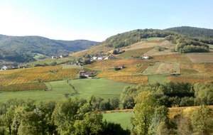56120529ec645_rbeaujolais1020151.jpg