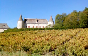 56120534b2a8b_rbeaujolais1020152.jpg