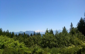 Mont Blanc vu du col du Granier.