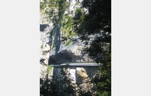 577cfe1494914_IMG0713.jpg