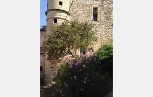 Sortie du 29/08 Vaison aux Dentelles de Montmirailles