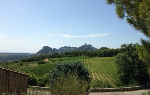 Sortie du 29/08 Vaison aux Dentelles de Montmirailles