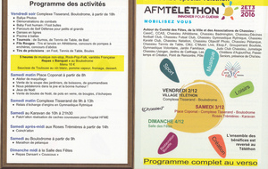5836793856aa8_Tlethon2016.jpg