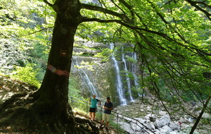 59a595a388a80_DSC01279.JPG