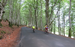 5b9795303bc63_IMG1321.JPG
