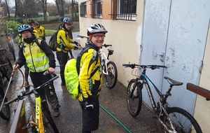5c61b441dce12_20190202162916.jpg