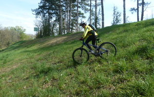 5cae1df51efd0_P1140538.JPG