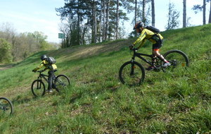 5cae1dffcbf04_P1140540.JPG