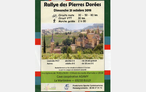 RALLYE DES PIERRES DORÉES à BULLY